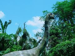 -海南热带野生动植物园