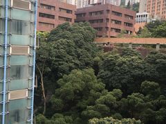-香港大学