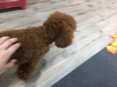 -FIGHTMAN格斗俱乐部(长宁临空店)