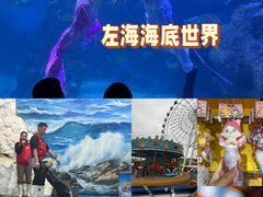 -左海海底世界