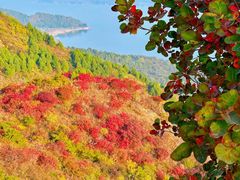 -大岭沟猕猴桃谷风景区