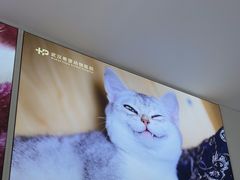 -希望动物医院(汉阳院)