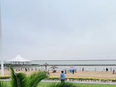 -碧海金沙