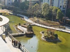 -梧桐人家中国太平国际健康颐养社区