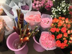 -宝鸡东道花鸟鱼虫市场(吉利花园商场店)