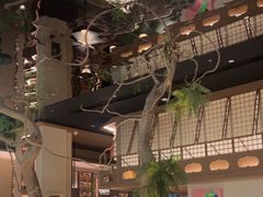 -桂满陇·海市蜃楼·黑金(国金店)