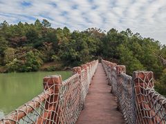 -广州白江湖森林公园