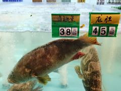 -海蓝海鲜馆(五四北店)