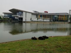 -南京医科大学(江宁校区)