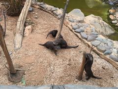 -昆明动物园