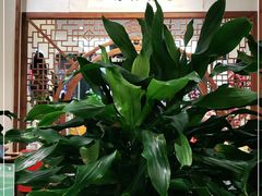 -名善山珍·野生菌汤锅(文殊院店)