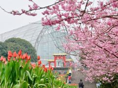 -南山植物园