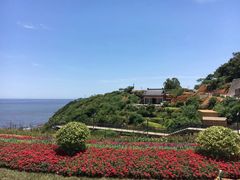 -渔寮风景区