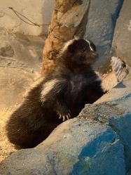 -Zoolung Zoolung动物主题公园(海信广场店)