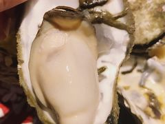 -烧蠔帮·湛江生蚝(工农店)