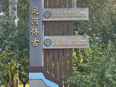 -马家湾湿地公园