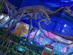 -诸城市恐龙博物馆