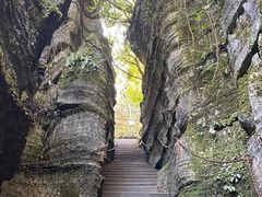 -梭布垭石林景区