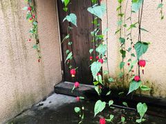 -乐领拈花溪·林涧食韵