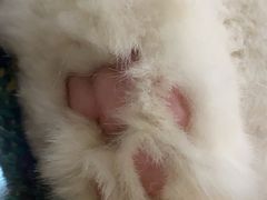 -平行世界·猫咖(首经贸店)