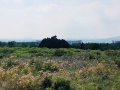 -涉地可支