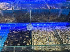 -星伦多自助料理(爱琴海店)