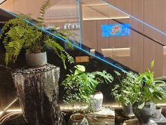 -连鹭海鲜·海肠捞饭·海胆饭(星海店)