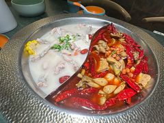-麻田会 ·鲜活现烹·牛蛙火锅(珠江新城维家思广场店)