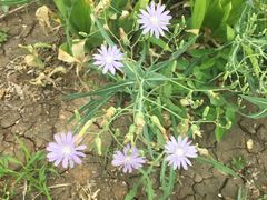 -天津东丽湖风景区
