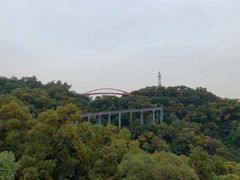 -金鸡山公园