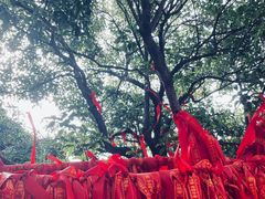 -龙华寺