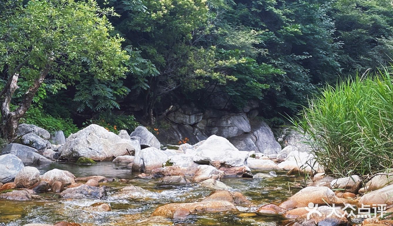 周末深山老林避暑地