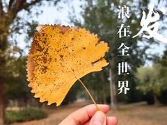 -南海子公园