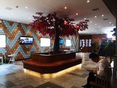 -韩京炭火烤肉自助料理(柯桥万达店)