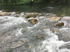 -贵阳市花溪国家城市湿地公园