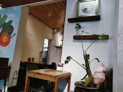 -No Cat 手碟