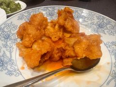 -连鹭海鲜·海肠捞饭·海胆饭(星海店)