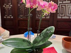 -山水茶艺馆·点心粤菜·30年老字号