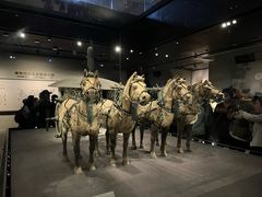 -秦始皇帝陵博物院-丽山园