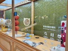 -帕帕拉兹宠物(亚洲旗舰店)