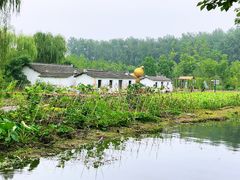 -溱湖国家湿地公园