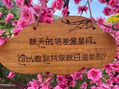 -北京凤凰岭