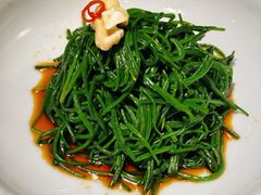 -蒙料·手把肉(望京店)