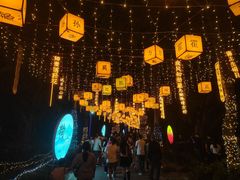 -广西壮族自治区药用植物园