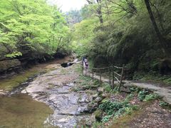 -黎坪国家森林公园