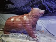 -哈尔滨热雪奇迹