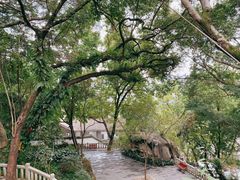 -乌山风景区