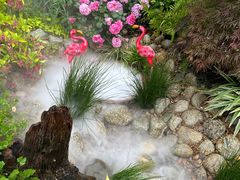 -武汉园博园(武汉自然博物馆)