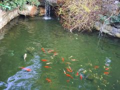 -杭州第一世界大酒店·云曼温泉