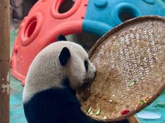 -五龙山野生动物王国